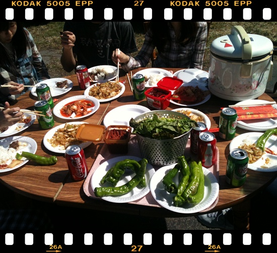 IMG_1186-20120415-213347.jpg